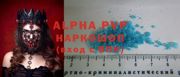 прущие грибы Вяземский