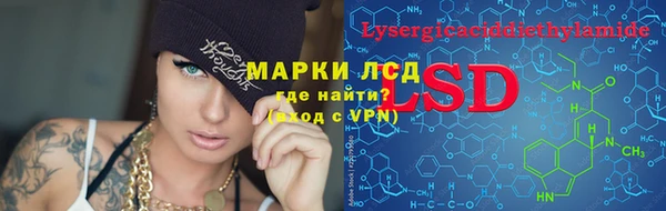 прущие грибы Вяземский