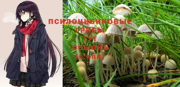 мдпв Вязьма