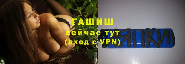 прущие грибы Вяземский