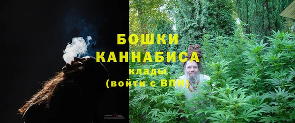 мдпв Вязьма
