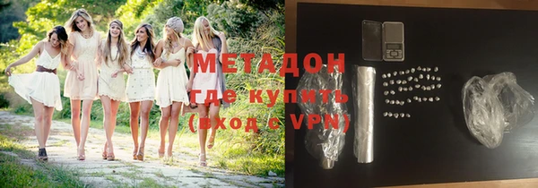 прущие грибы Вяземский