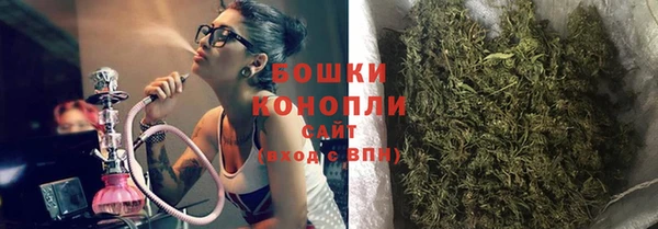 прущие грибы Вяземский