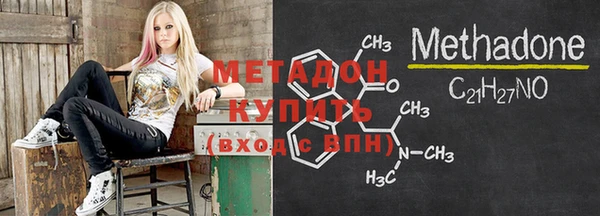 прущие грибы Вяземский