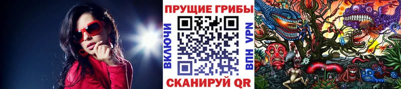 kraken ТОР Майкоп Псилоцибиновые грибы MAGIC MUSHROOMS